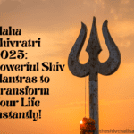 Maha Shivratri 2025: Shiv Mantras