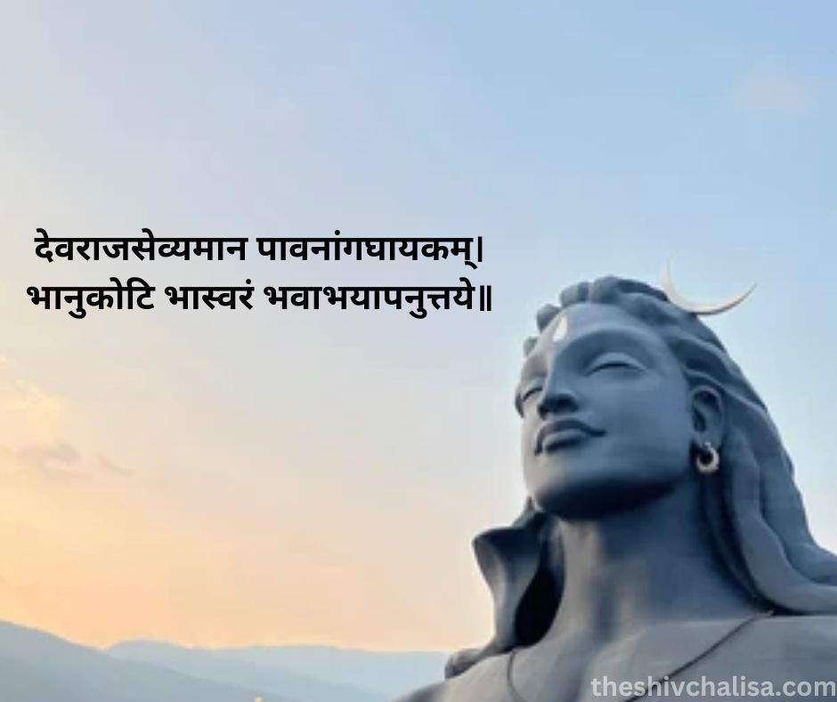देवराजसेव्यमान पावनांगघायकम्।
भानुकोटि भास्वरं भवाभयापनुत्तये॥